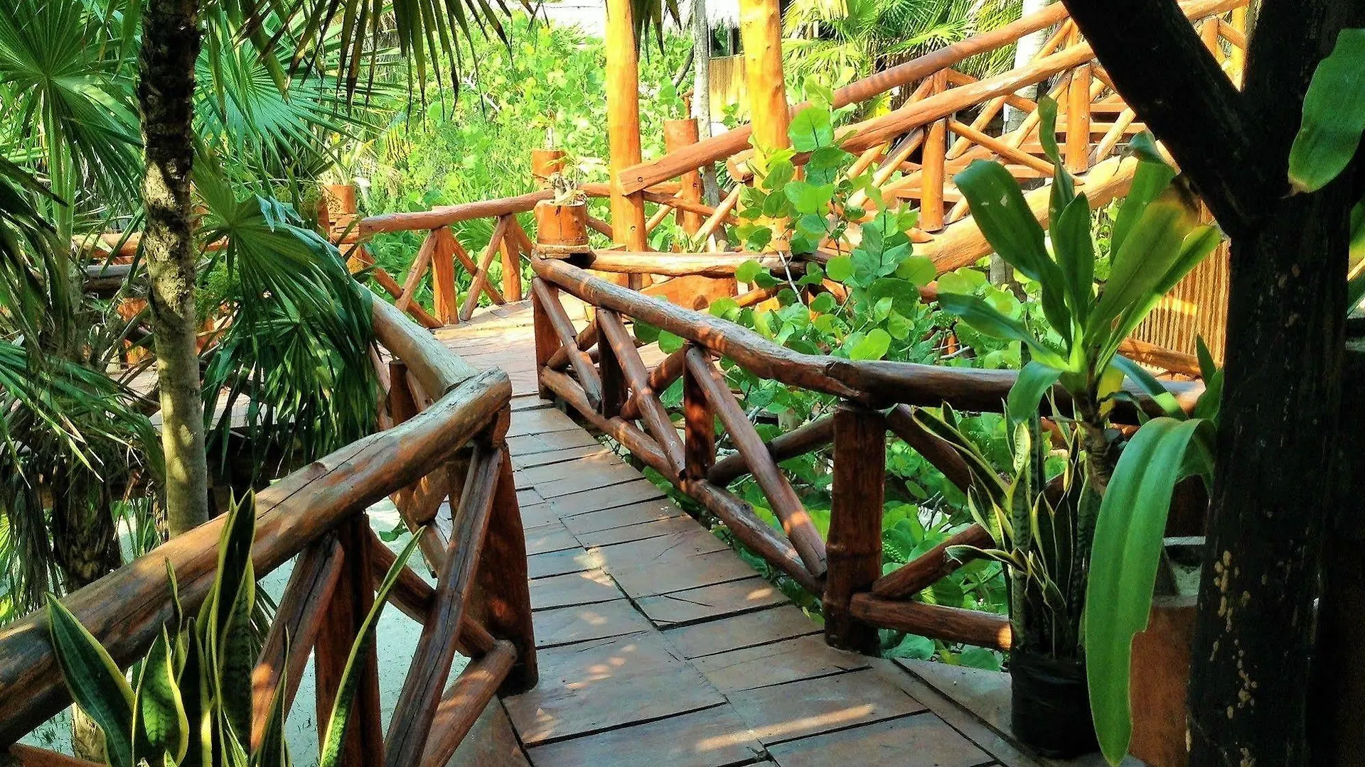 Gerendaház El Caracol Tulum Hotel Mexikó